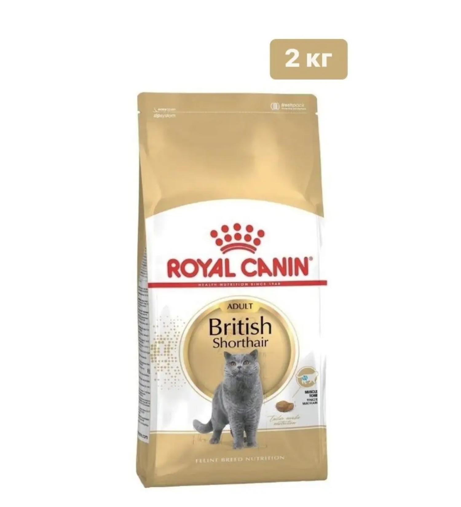 ROYAL CANIN British Shorthair Adult Feed Dry for Cats - Buy Online on GoSupps.com