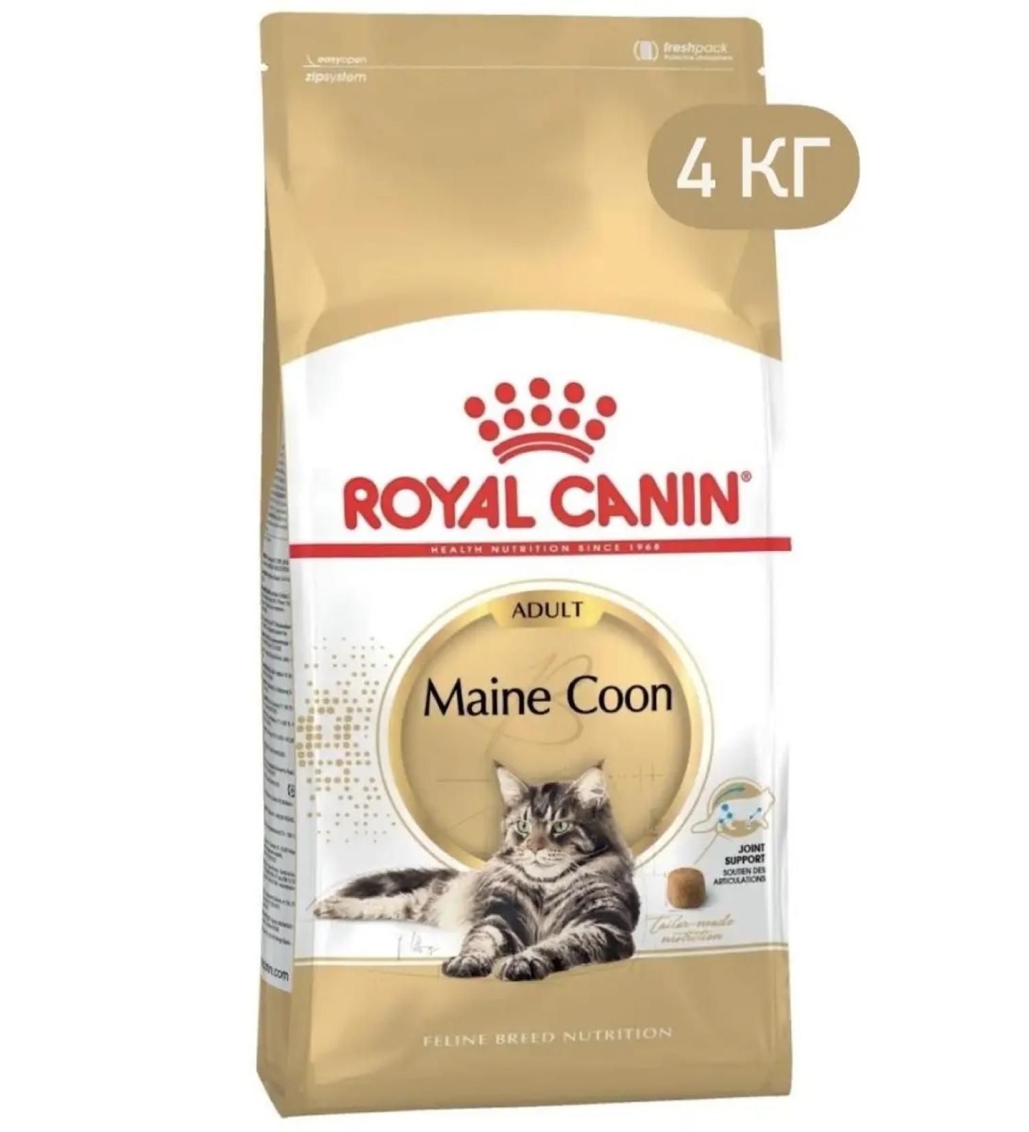 ROYAL CANIN Dry Main Coon 2kg 4kg - Buy Online on GoSupps.com