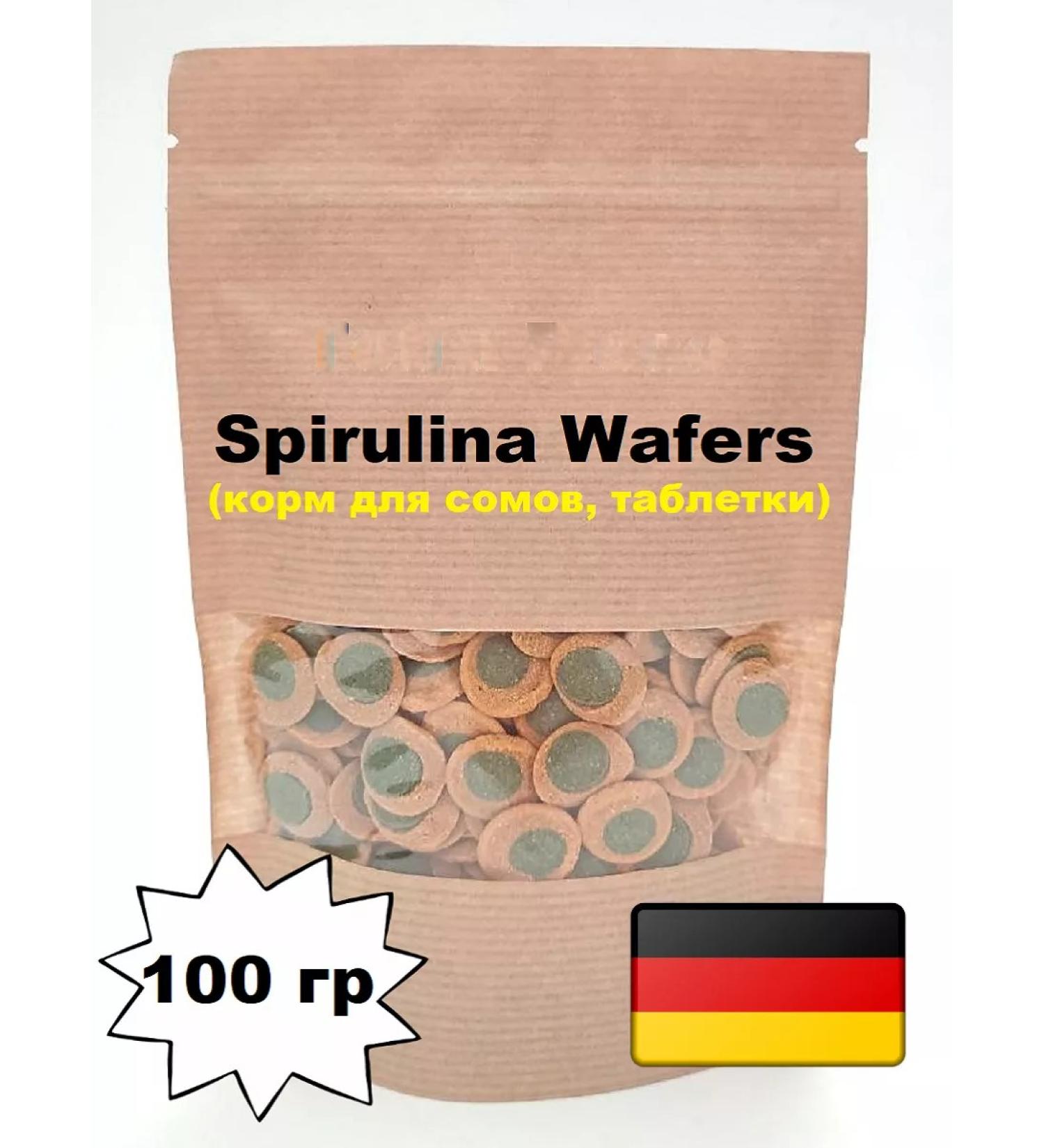 Terpa Lux Feed for aquarium catfish tablets 100 g - Buy Online on GoSupps.com