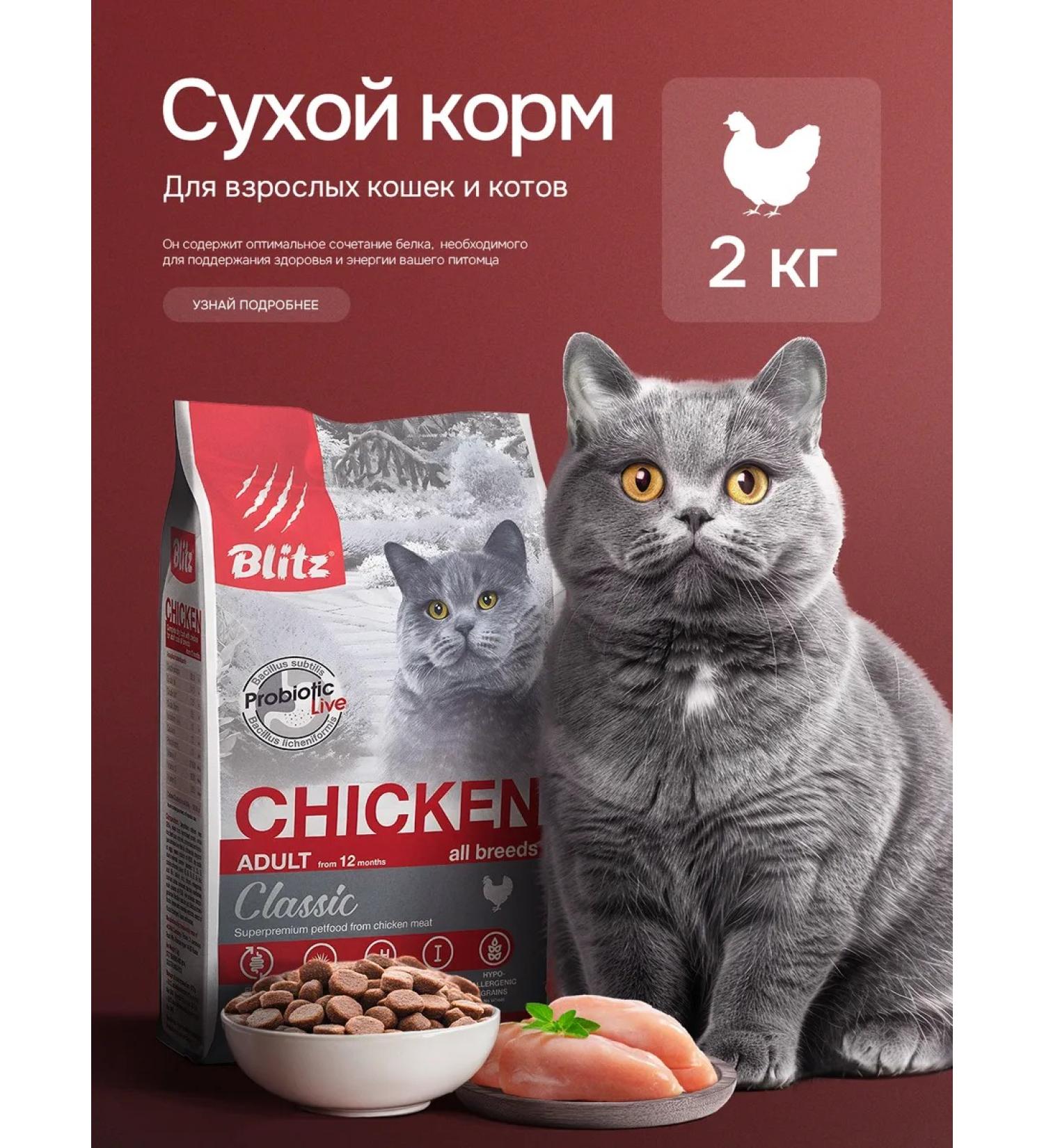BLITZ Cat food dry 2 kg with chicken - Buy Online on GoSupps.com