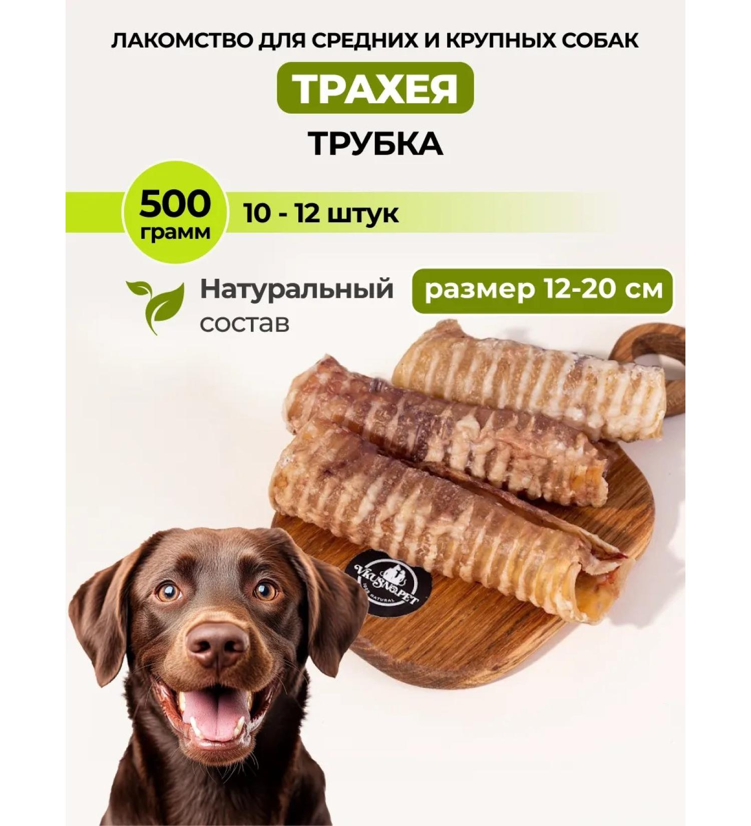 vkusnopet T -shirt trachea for dog dogs for dogs - Buy Online on GoSupps.com