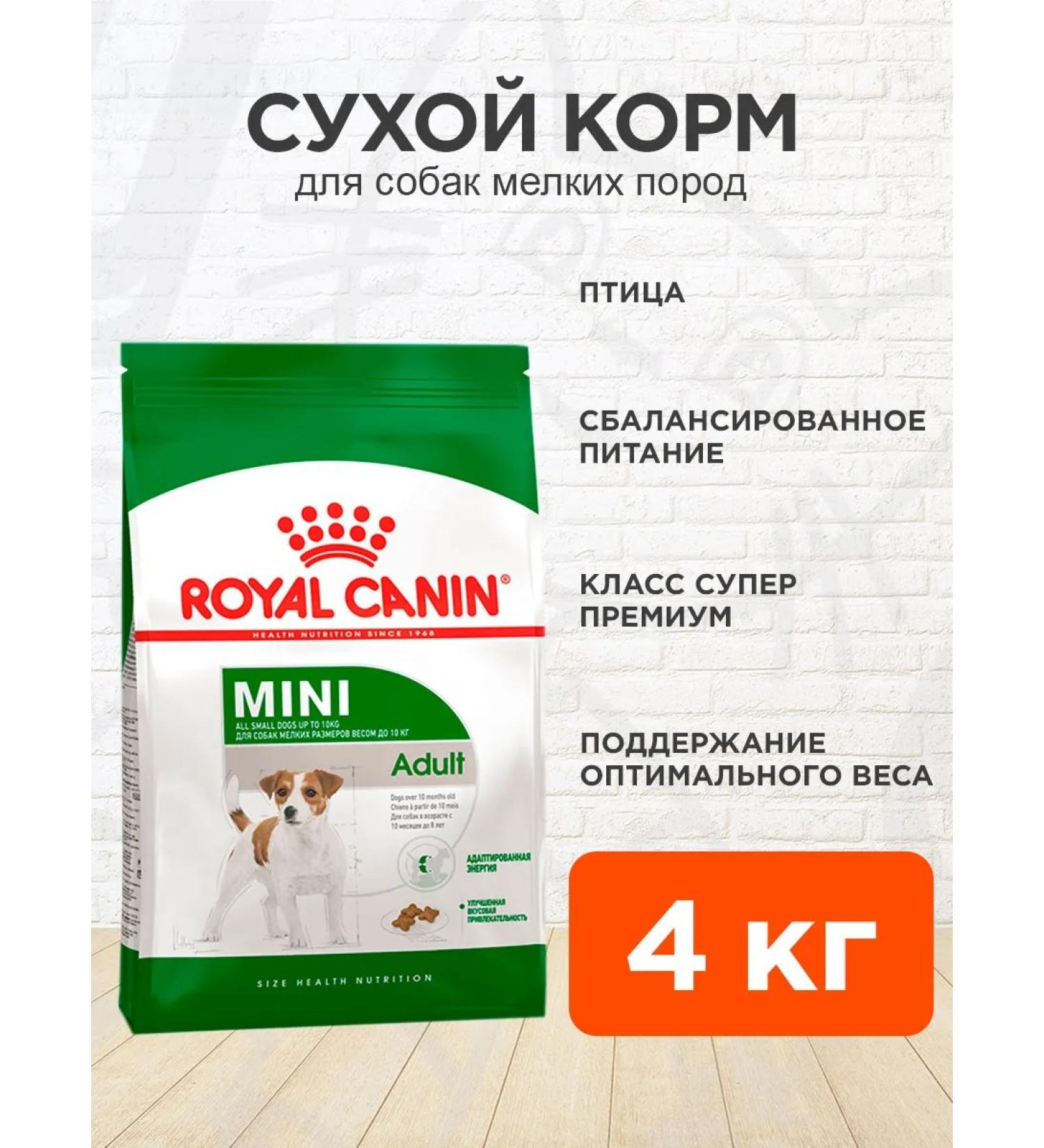ROYAL CANIN Dry food for dogs of small breeds mini adult 4 kg - Buy Online on GoSupps.com