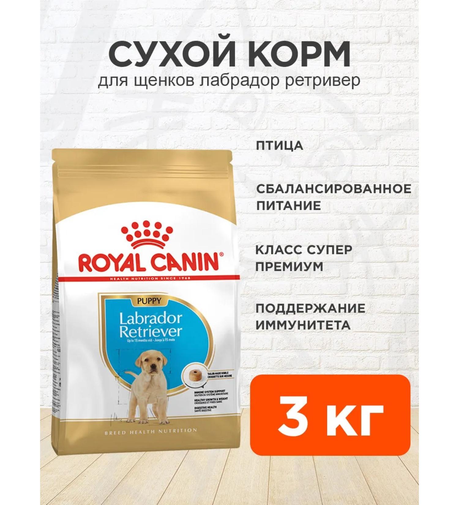 ROYAL CANIN Dog food dry Labrador Retriever for puppies 3 kg - Buy Online on GoSupps.com