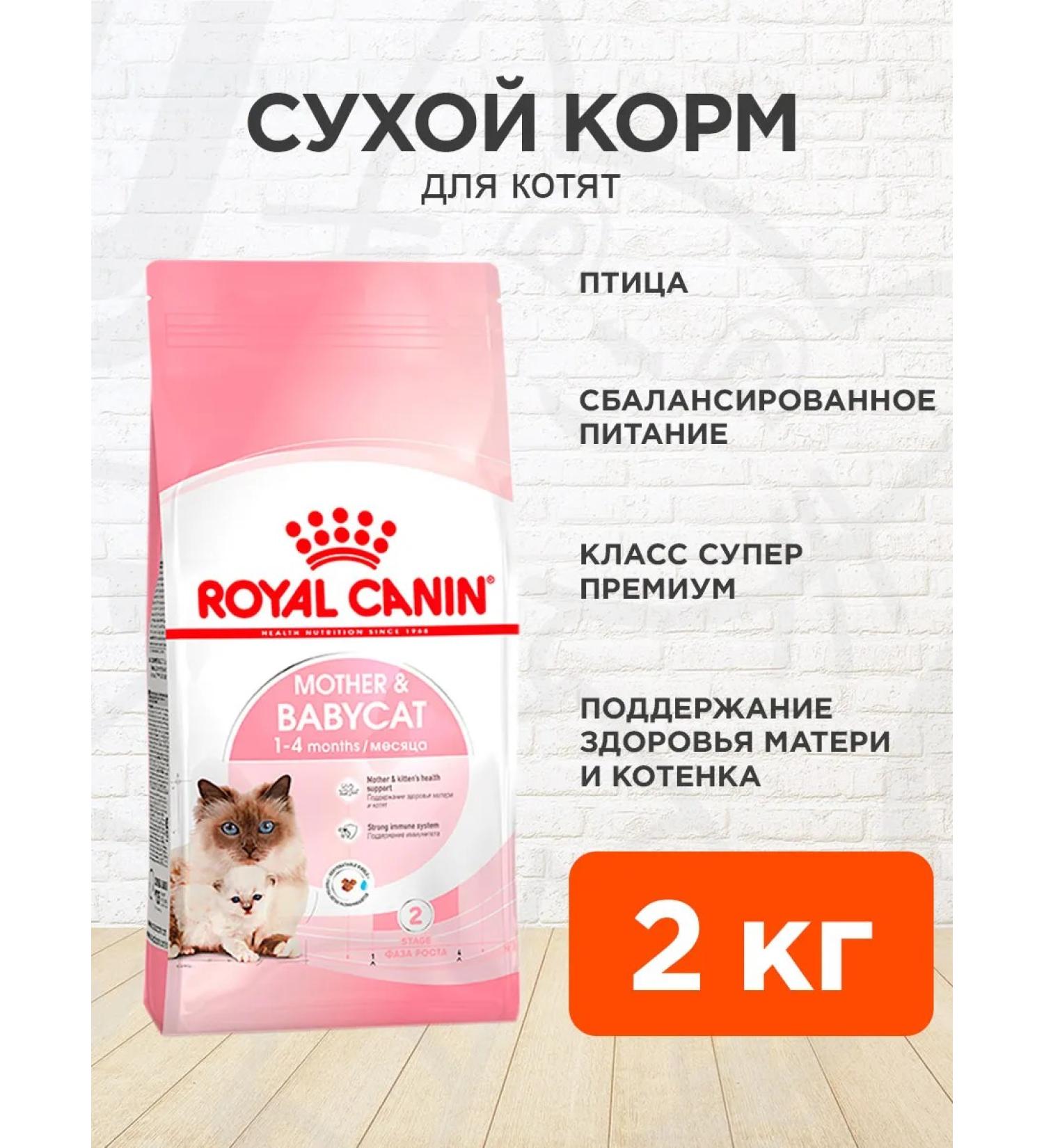 ROYAL CANIN Feed for kittens and cats dry Mother & Babycat 2 kg - Buy Online on GoSupps.com