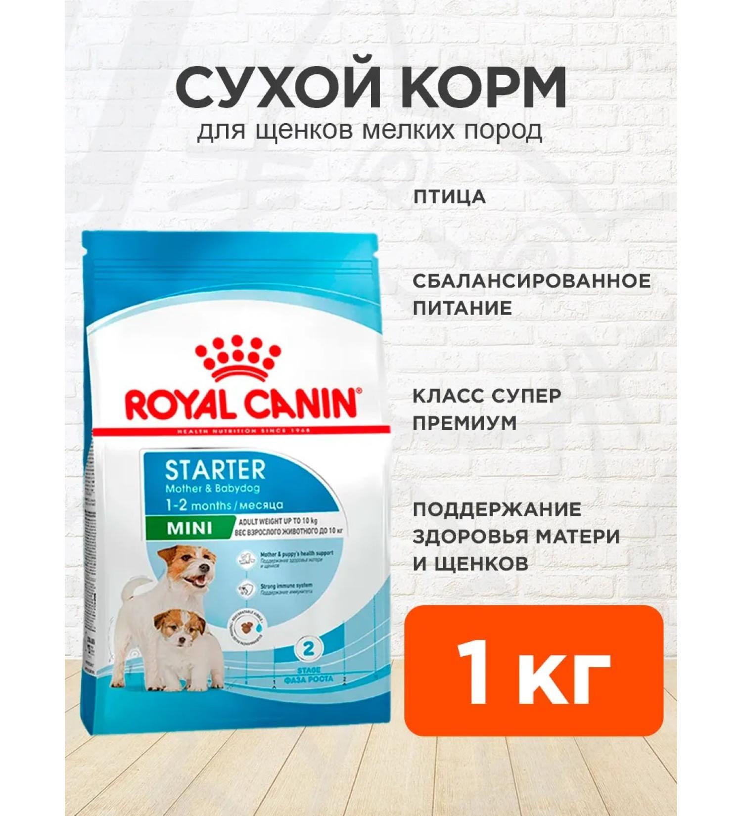 ROYAL CANIN Feed for puppies of small breeds of dry Mini Starter 1 kg - Buy Online on GoSupps.com