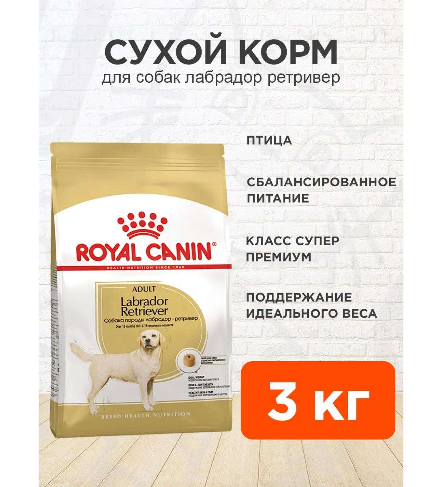 ROYAL CANIN Dog food dry Labrador Retriever 3 kg - Buy Online on GoSupps.com