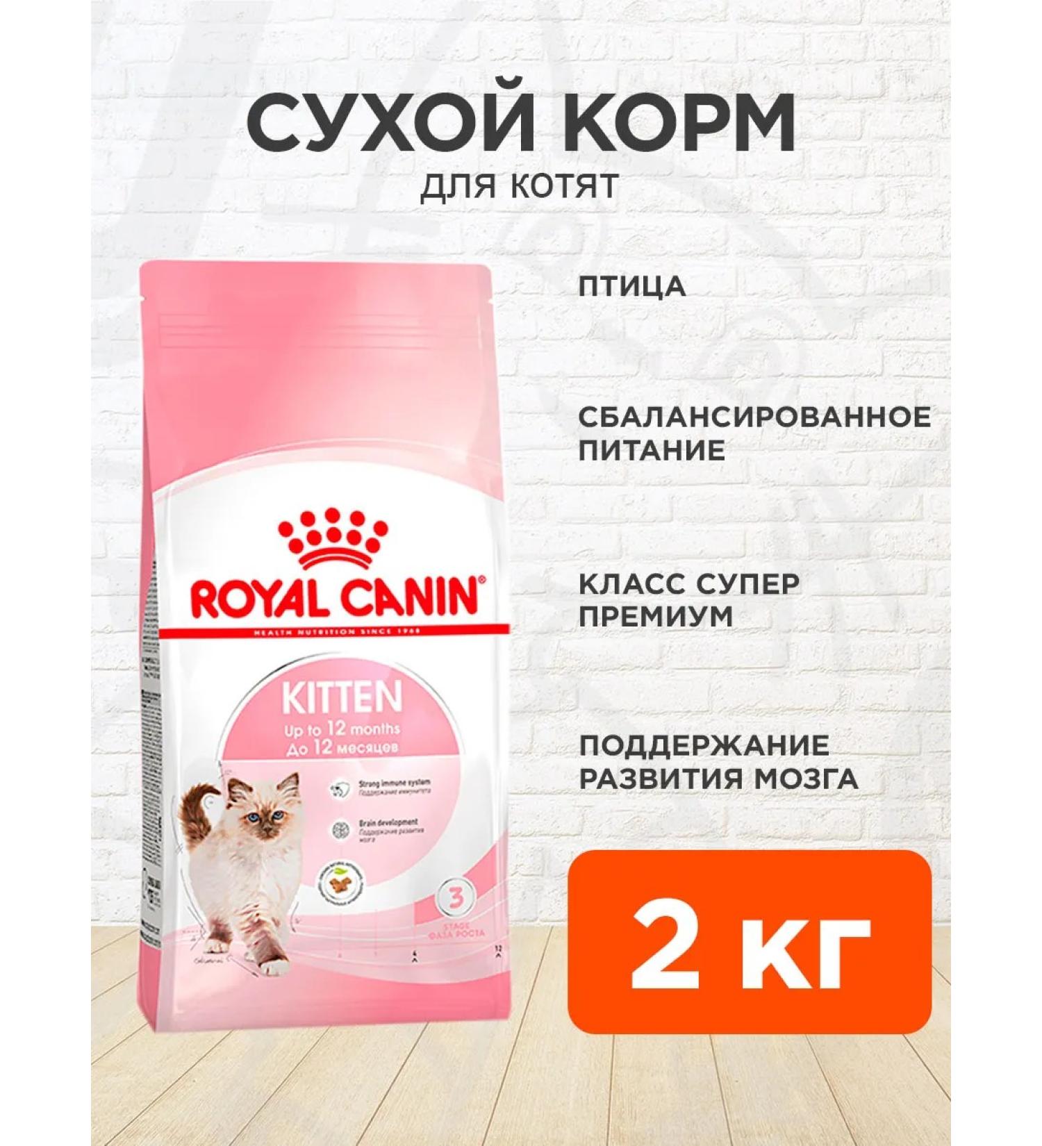 ROYAL CANIN Kitten Kitten 36 2 kg - Buy Online on GoSupps.com