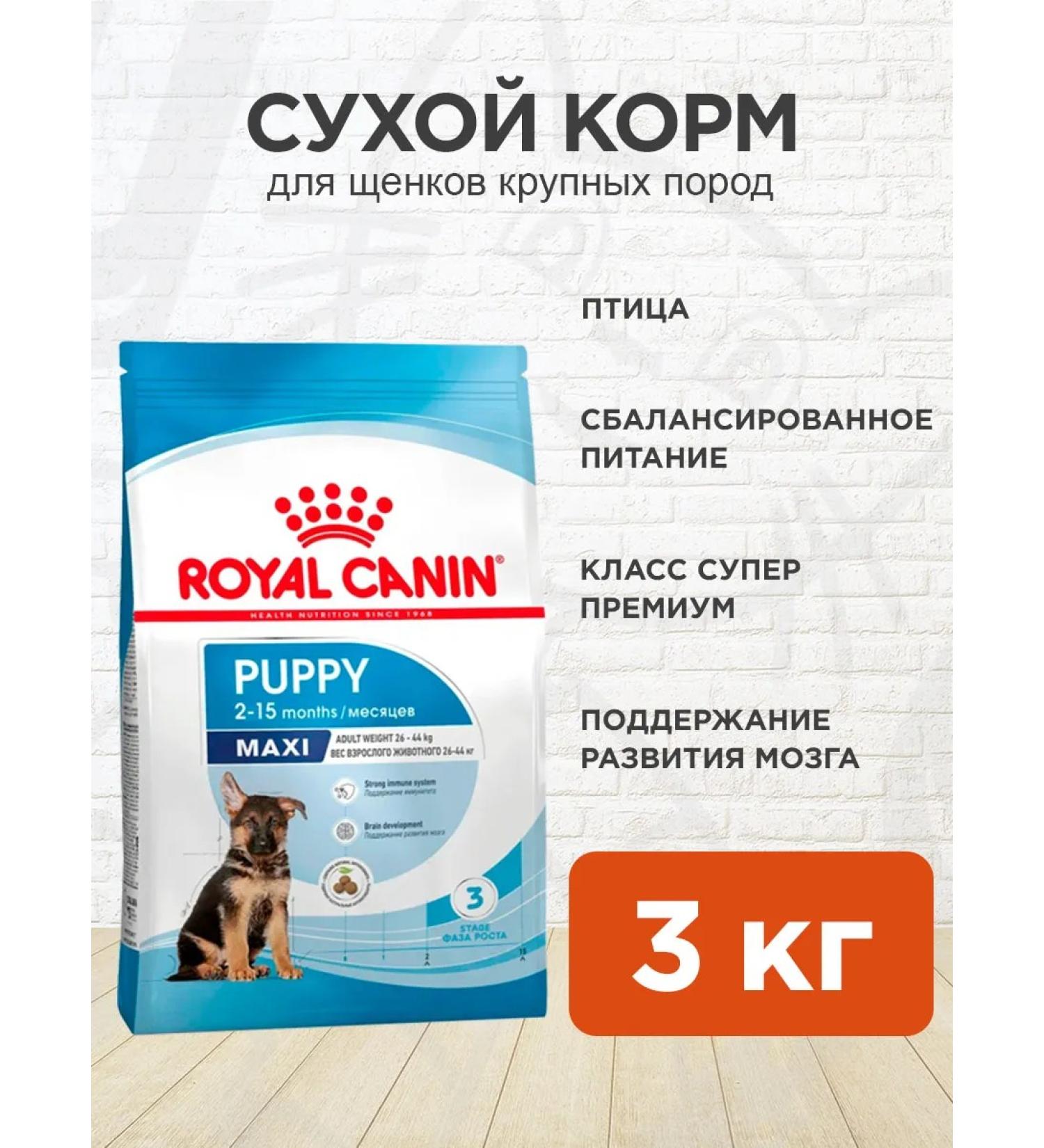 ROYAL CANIN Dog food dry maxi puppy for puppies 3 kg - Buy Online on GoSupps.com