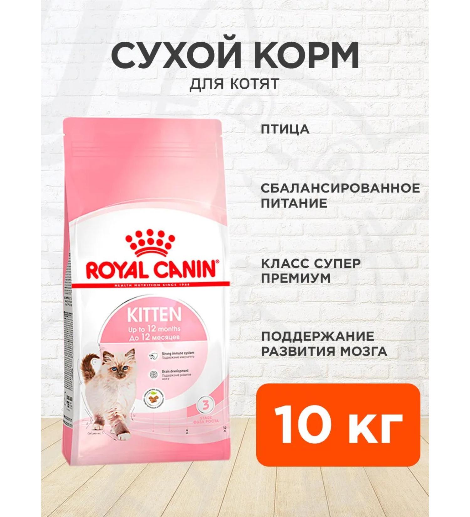 ROYAL CANIN Kitten Kitten 36 Kittens for 10 kg - Buy Online on GoSupps.com