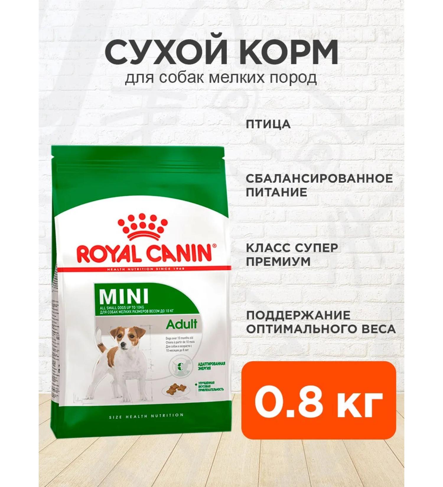 ROYAL CANIN Dry food for dogs of small breeds Mini Adult 0.8 kg - Buy Online on GoSupps.com