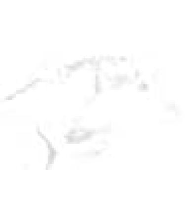 VETR ipharm Equi Power Movement Herbs Liquid 1 L. - Buy Online on GoSupps.com