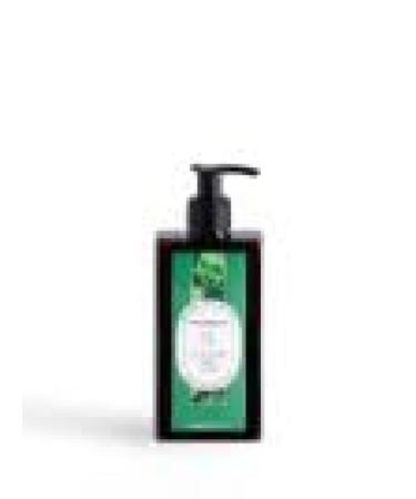 Body Milk Green Tea 250 Ml (8.4 Fl Oz) 1 unit - Made in Italy italian import