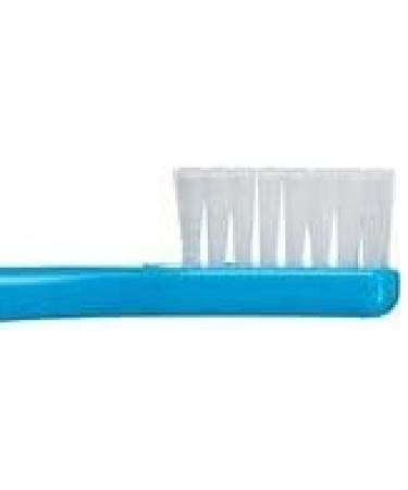 Buy Japanese Toothbrush Tuft24 Capless Pack of 10 Soft Oral Care for Healthy Gums & Strong Brushing - Buy Online on GoSupps.com