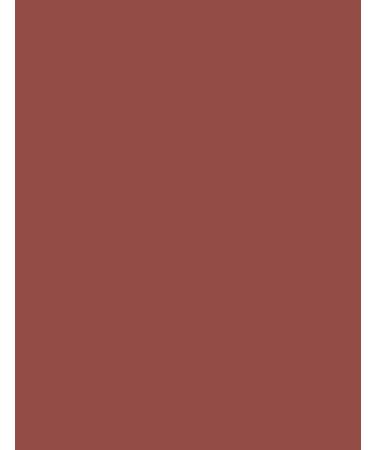 Silk Matte Liquid Lipstick in Fall Rosey - Long-lasting Formula - Buy Online on GoSupps.com