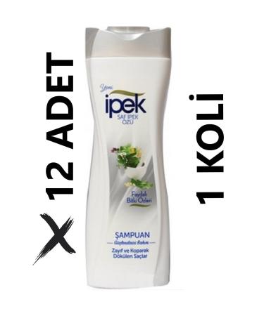 Silk Shampoo Strengthening Weak and Falling Hair Useful Plant Extract-600mlx12 Advantage Package