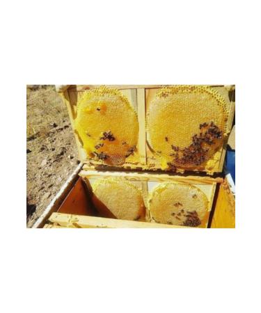 BALCI SEM H Karakovan Honey 3 Kg