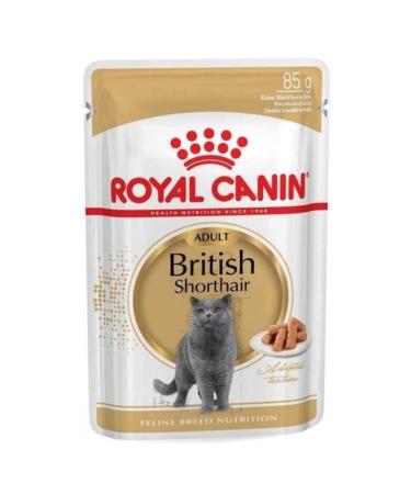 Royal Canin British Shorthair Wet Cat Food 85 Gr 12 Pieces