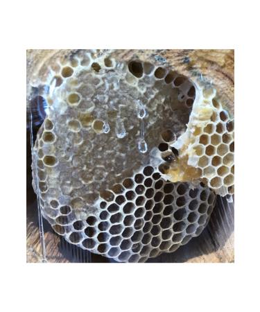 King Gurme Erzurum Plateau Karakovan Honey 400-550gr