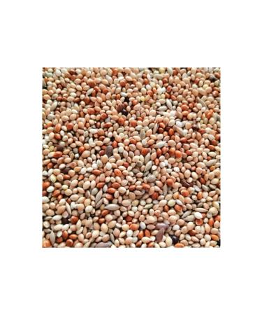 Seeding Special Seeded Budgie Food 5 Kg