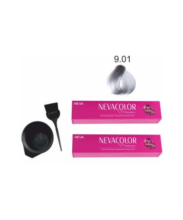 Neva Color Tube Paint 9.01 Silver Economic 2-Pack + Painting Set