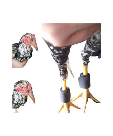 AKDEREPET Indian Rooster Beak and Gizzard Number 2