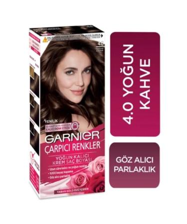 Garnier Striking Colors 4.0 Intense Brown