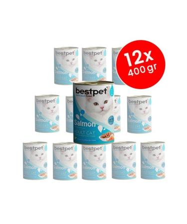 Bestpet Adult Cat Canned Food with Salmon Jelly 12x400 Gr