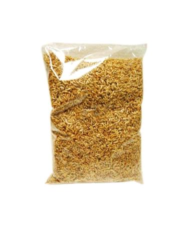 Maxisol Dried Shrimp (Gammarus) 50 gr