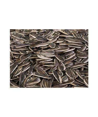 500 Gr White Black Pepper - White Pepper - White Pepper