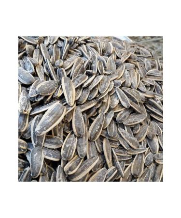SARIG L ORGANIC Roasted Black Sunflower Seeds (Dakota 1st quality) (salted) - 500 Gr
