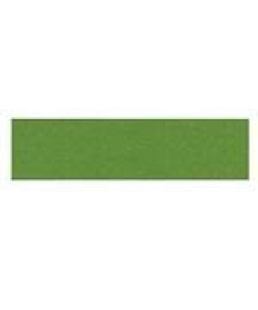 Fabriano Tiziano Pistacchio 43 20 x 26 160gsm/75lb (10 Sheet Pack)