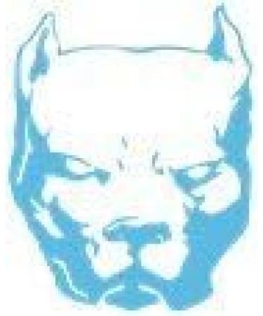 Defense Aerosols 50BGD Bodyguard Stream Dog Repellent 50g 0.50% Cap Black - Buy Online on GoSupps.com