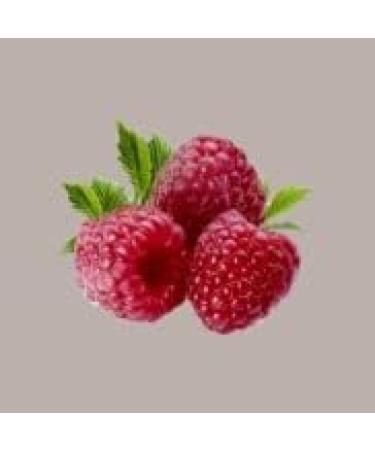 Lucgel Sirop LAMPONE ZERO+ Calories sans sucre TOSCHI pour glace Granita Cocktail - 740 gr - Buy Online on GoSupps.com