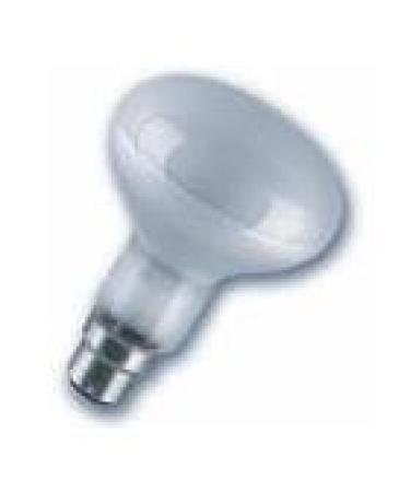 ProRep BC Basking Spotlamp 100 Watt