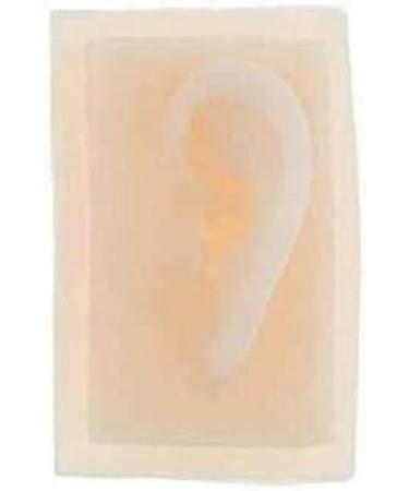 Model of Ear A Model of Silicon Ears Couple Human Model The of The Medical Research Pelle9 7 X 6.3 Centimeters / 3.82 X 2.48Inch - Buy Online on GoSupps.com