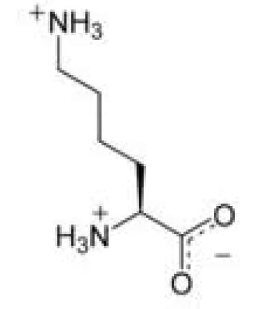 L-Lysine Powder 500g Pharmaceutical Grade - Additive Free - Buy Online on GoSupps.com