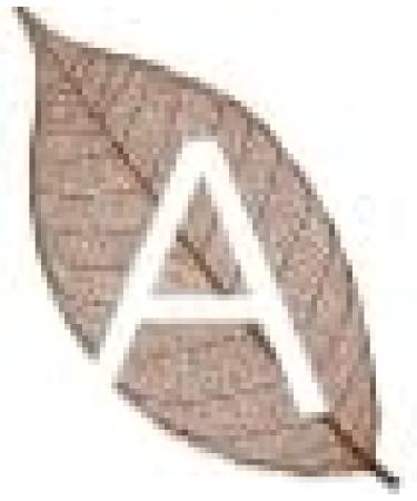 Dr. Weyrauch Zinkursan Vet | 500g | Horse Supplement | May Help Compensate Zinc Deficiency | May Contribute to Hoof Regeneration - Buy Online on GoSupps.com