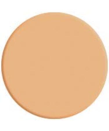 Wycon Cosmetics NC20 Concealer - Smoothing Secret Eye Ring Corrector | Professional Liquid Makeup | 1 Pack - Buy Online on GoSupps.com