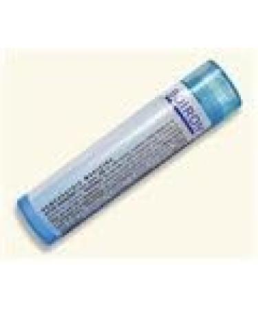 Buy Boiron Gelsemium Sempervirens 6X - 80 Pellets | Homeopathic Remedy for Anxiety & Stress | International Shipping - Buy Online on GoSupps.com