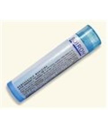 Boiron Bromium 6C 80 Pellet
