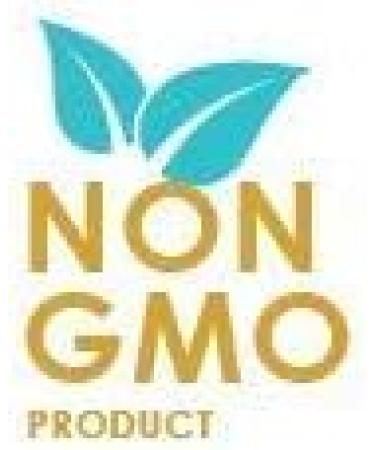 Orasana Probiotic Mints Vegan All Natural Chewable Probiotic for Oral Health - Buy Online on GoSupps.com