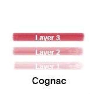 LIP INK 100% Smearproof Trial Lip Kits - Long-Lasting Cognac Color for Perfect Lips | International Shipping Available - Buy Online on GoSupps.com