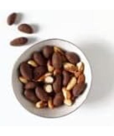  Co coa Organic 70% Dark Chocolate-Coated Brazil Nuts 200g Raw vegan chocolate no refined sugar Lactose-free natural ingredients Healthy omega-6 fats - Buy Online on GoSupps.com