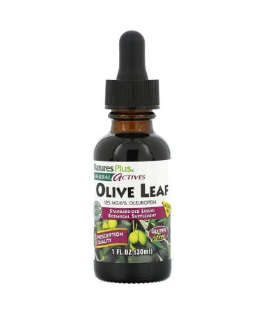 Nature's Plus Herbal Actives Olive Leaf Alcohol Free 1 fl oz (30 ml)
