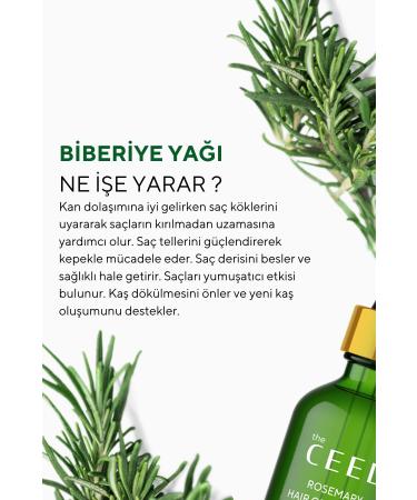 The Ceel Rosemary Oil Complex Fast Hair Growth Biotin Hair Care for Hair Loss and Damaged Hair - Buy Online on GoSupps.com
