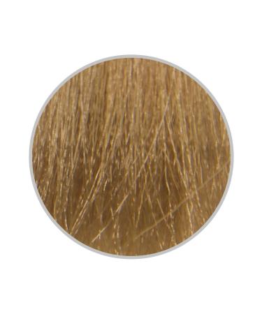 Color Naturel Ammonia-Free Permanent Hair Dye 60ml