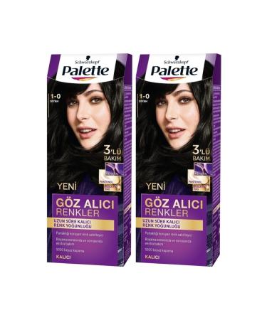 Palette Hair Dye Eye-Catching Colors 1-0 Black X 2 Pieces