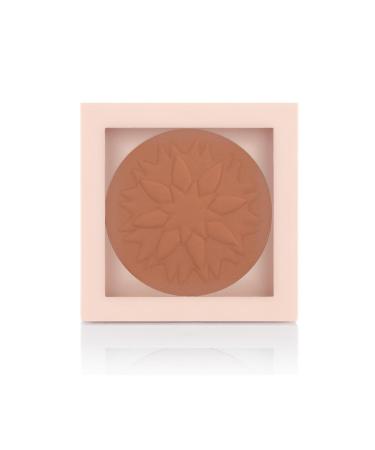 Pastel Powder No:104