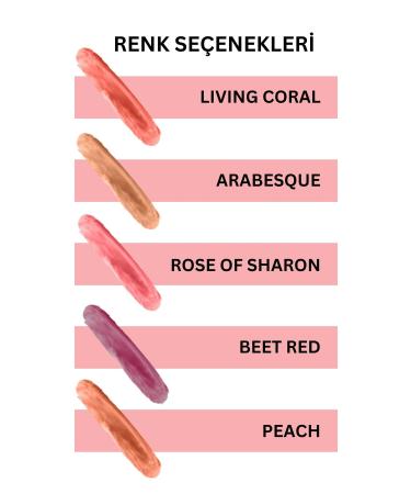 REVA Multi-Purpose Stick Blush Eyeshadow Lip Color Peach/lip Cheek Eye Tint-vegan & Clean Content Rv111 - Buy Online on GoSupps.com