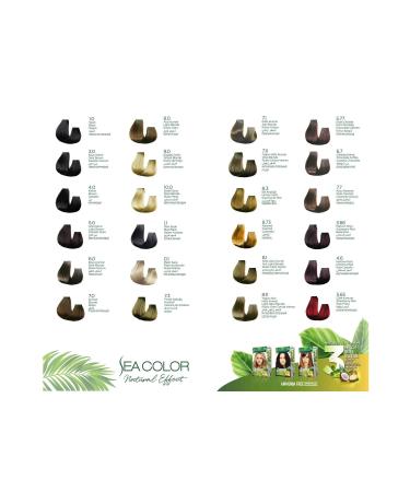 Schwarzkopf Essensity Organic Ammonia-Free 5-60 Hot Chocolate Hair Dye 60 Ml